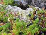 island_123