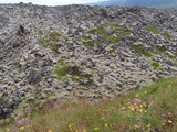 island_125