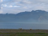 island_138