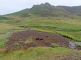 island_149