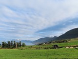 island_169