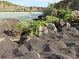 island_172