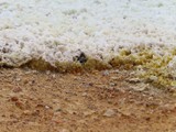island_184