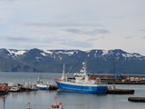 island_203