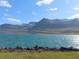 island_242