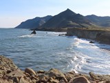 island_262