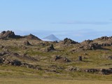 island_263