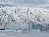 island_286