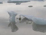 island_290