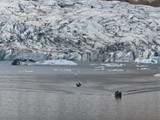 island_294