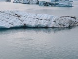 island_299