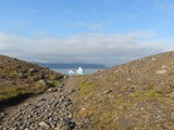 island_305