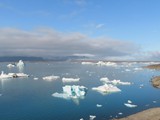 island_306