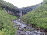 island_311