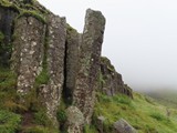 island_318