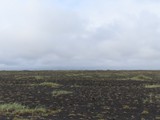 island_330