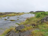 island_331