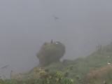 island_349