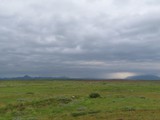 island_374
