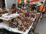 Madagaskar_008