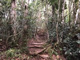 Madagaskar_036