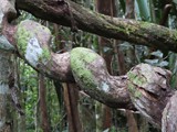 Madagaskar_037