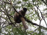 Madagaskar_039