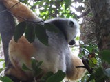 Madagaskar_040