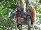 Madagaskar_041