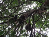 Madagaskar_043