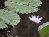 Madagaskar_046
