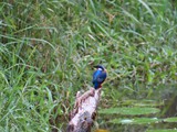 Madagaskar_047