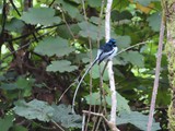 Madagaskar_048