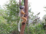 Madagaskar_052
