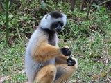 Madagaskar_053