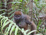 Madagaskar_056