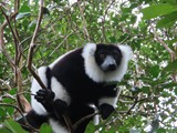 Madagaskar_057