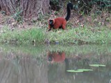 Madagaskar_059