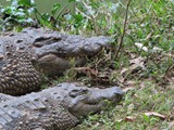 Madagaskar_061