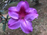 Madagaskar_062