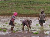 Madagaskar_077