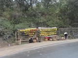 Madagaskar_079