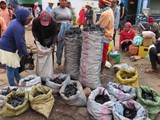 Madagaskar_103