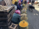 Madagaskar_120