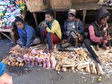 Madagaskar_123