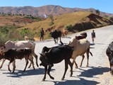 Madagaskar_128
