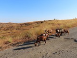 Madagaskar_133