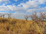 Madagaskar_139