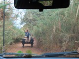 Madagaskar_141