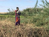 Madagaskar_144